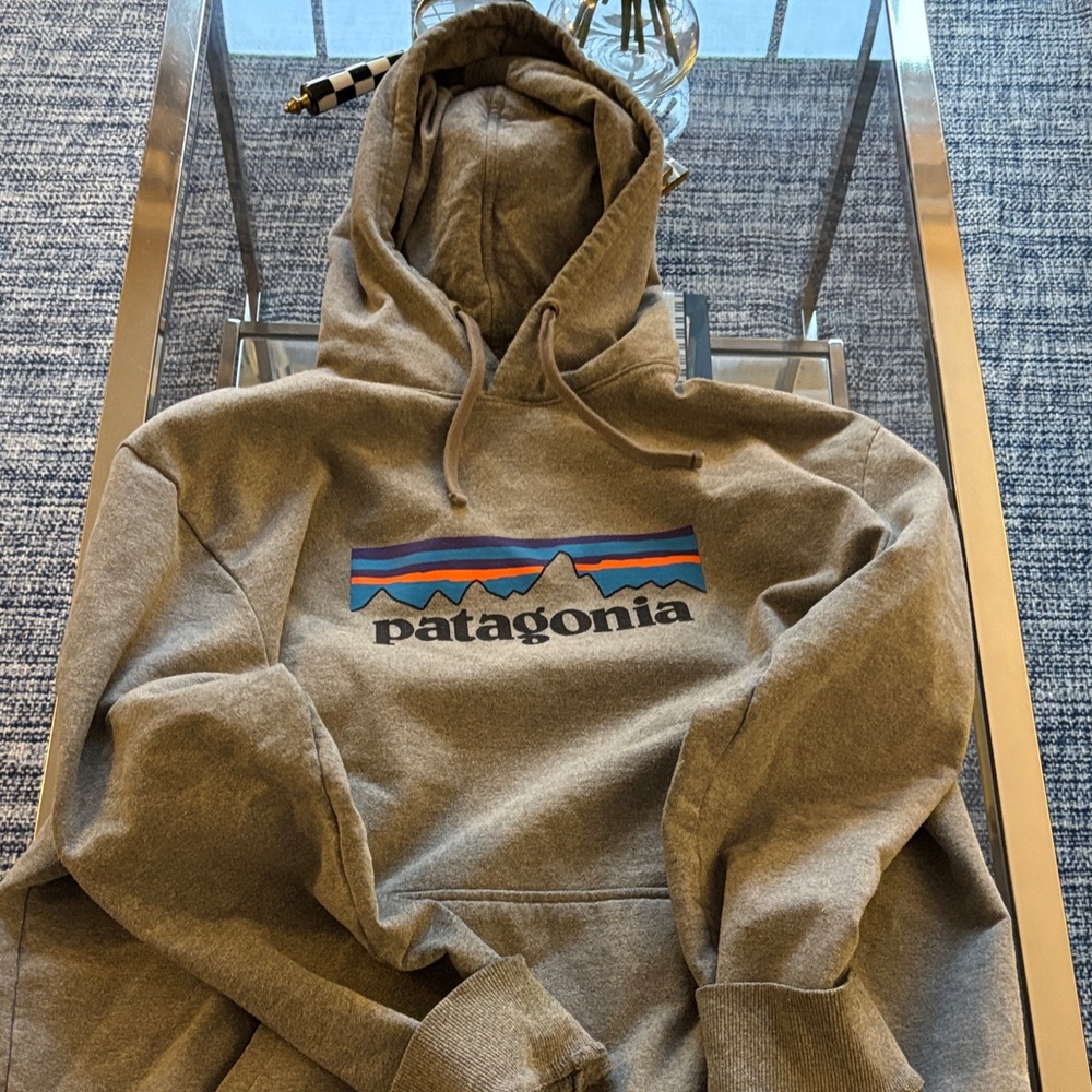 Patagonia Brown Hoodie Sweater for Men